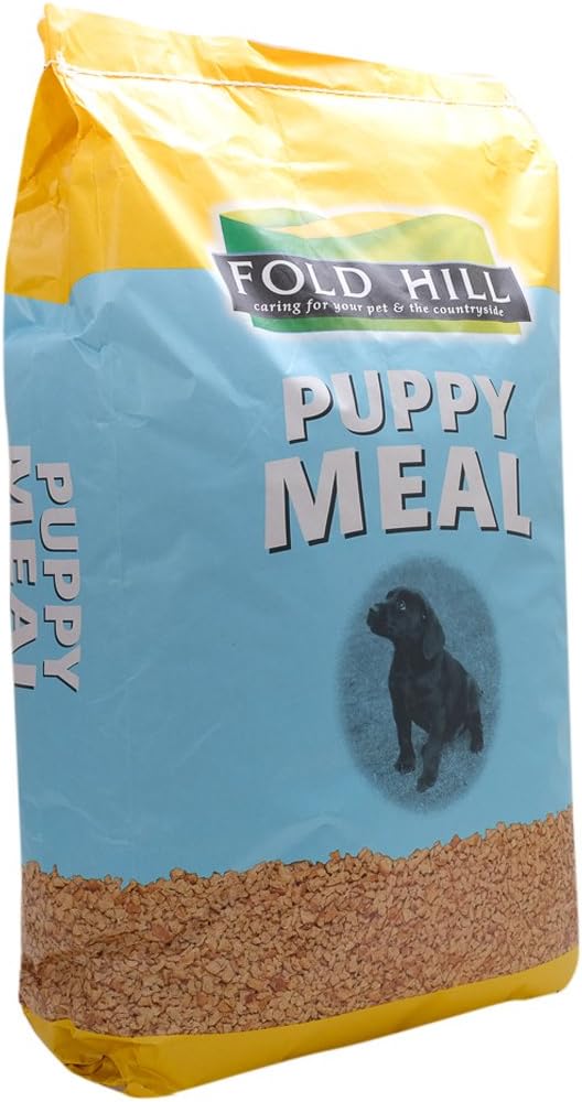 types of lizards that can be pets