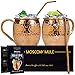 Magnificent Moscow Mule Copper Mugs: Make Any Drink Taste Much Better! 100% Pure Copper Set Including 2 Cups, 2 Straws, Recipe Book, Cleaning Instructions & Cleaning Cloth. For Cold Drinks & Cocktails