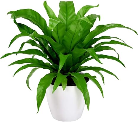 flores decorativas artificiales planta