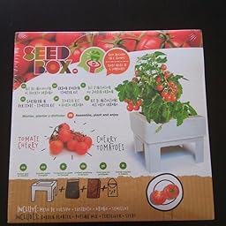 SeedBox SBMIMG Kit huerto Urbano de Menta, Blanco, 20x25x25 cm ...