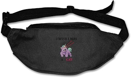 wish fanny pack