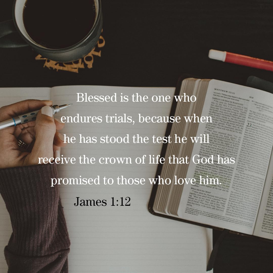 Elijah: Faith and Fire - Bible Study for Women