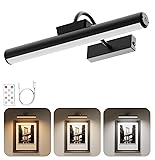 Skairipa Picture Light, Wireless Picture Light with