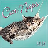 Cat Naps 2019 Mini Calendar