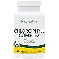 Natures Plus Chlorophyll Complex - 90 Vegetarian Capsules - Nutritional Support for General Well-Being - Vegan - 45 Servings