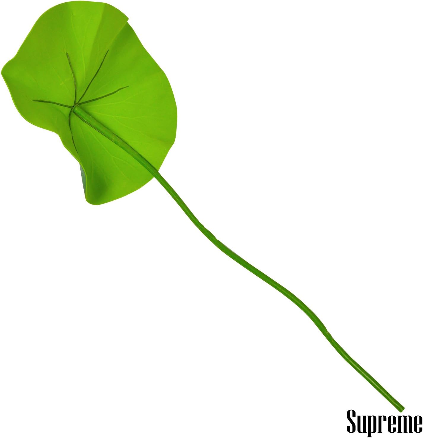 Amazon 葉っぱ 傘 ハスの葉 雨 かさ カエル コスプレ 仮装 イベント ハロウィン 葉っぱ コスプレ 仮装 通販