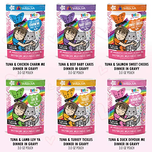 Weruva BFF Cat Food Variety Pack - Image 5