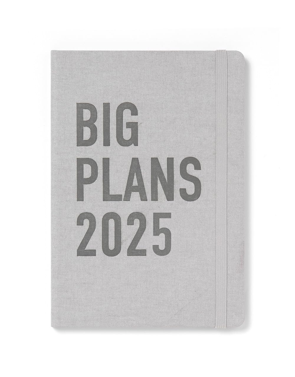 Letts of London Big Plans A5 day to page with appointments 2025 diary - stone