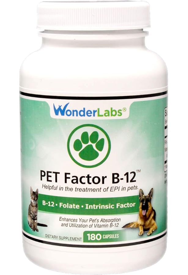 good source of vitamin b for dogs