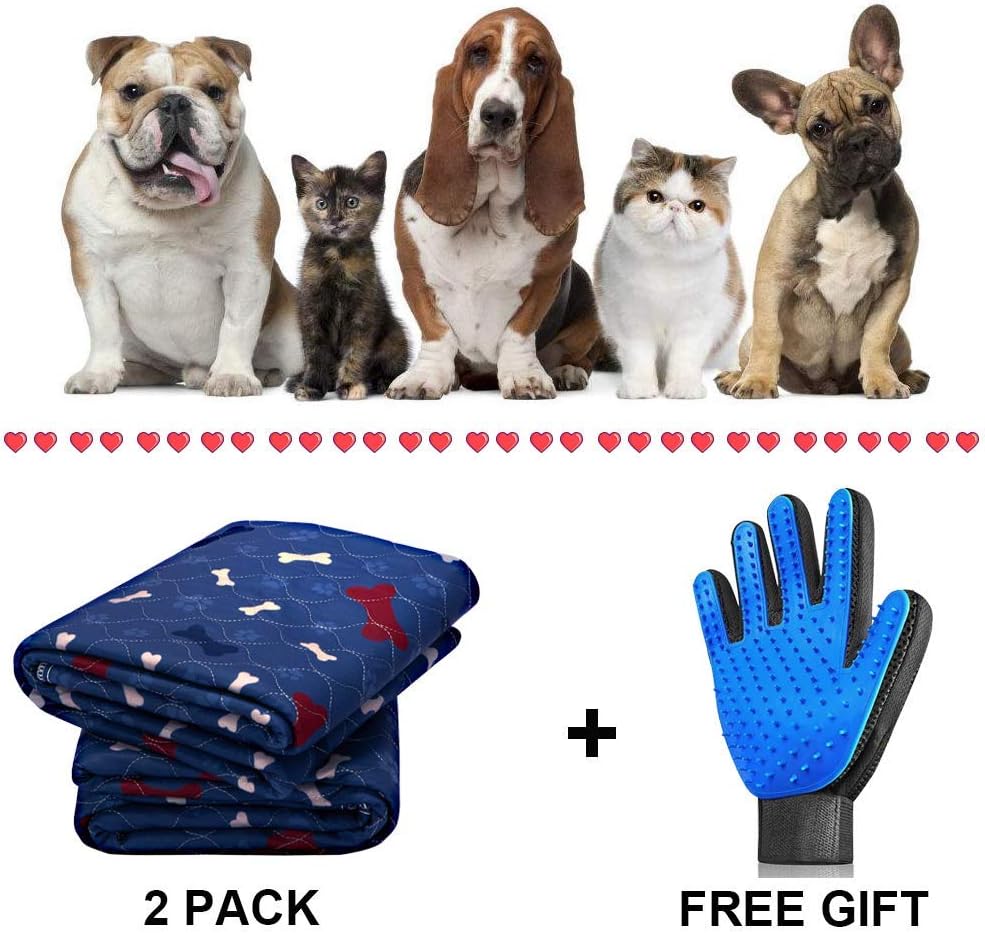 Washable Pee Pads for Dogs - Waterproof & Non-Slip Fast Absorbing Puppy Potty Training Pads,Reusable Whelping Pads, Pee Pad for Guinea Pig Cage,Dog Playpen Mat: Pet Supplies