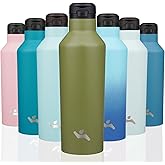 Insulated Water Bottle with Straw,25 OZ Double Wall Vacuum Stainless Steel Water Flask with 2 Lids,Forest Green