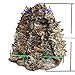 Camo Hunting Face Mask, 3D Camouflage Leafy Tactical Balaclava Face Mask, Realtree Full Face Mask for Men/Women, Camouflage