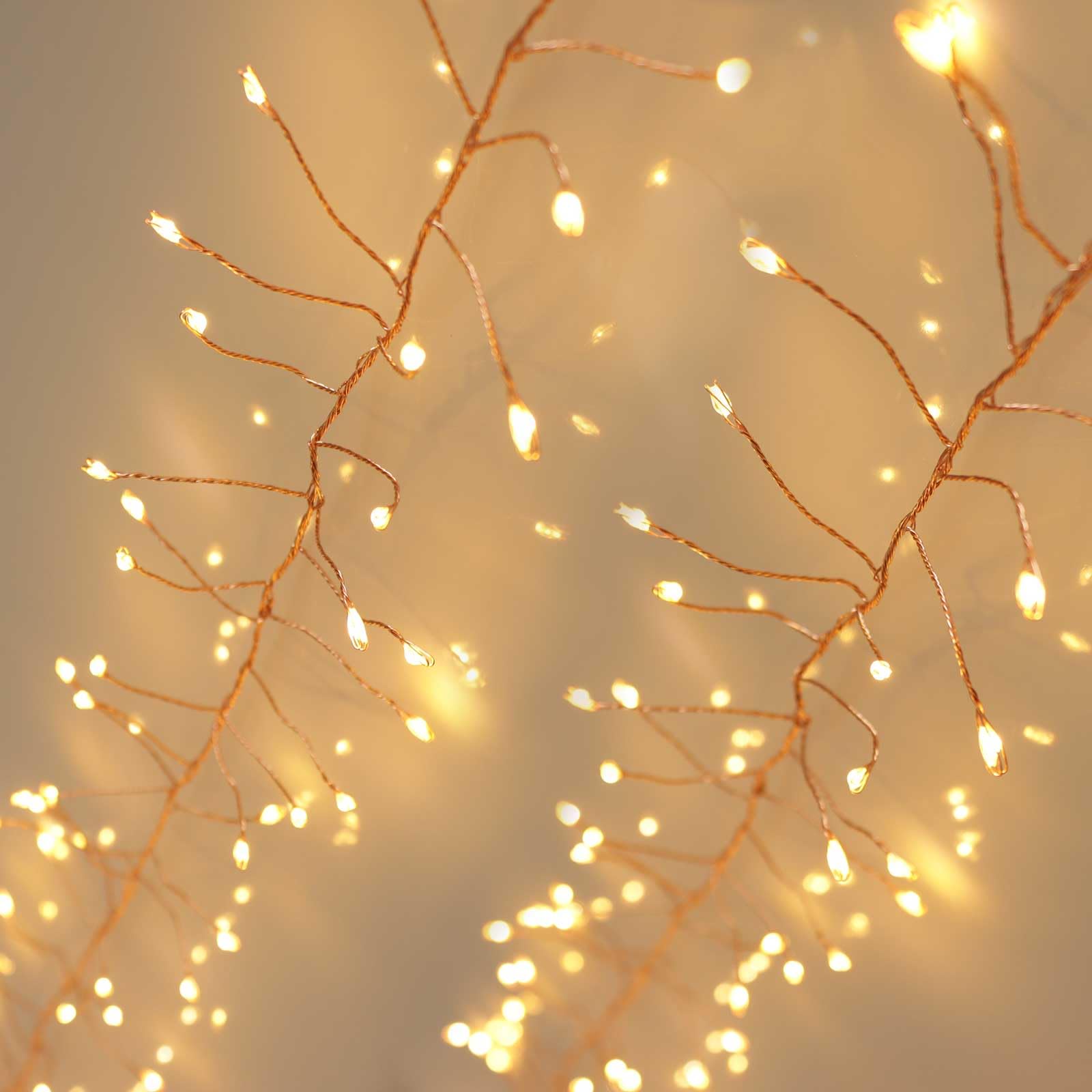 Qbis Cluster Lights 240 LED on Copper Wire - Warm White Christmas Fairy String Lights Plug-in (Copper Wire)