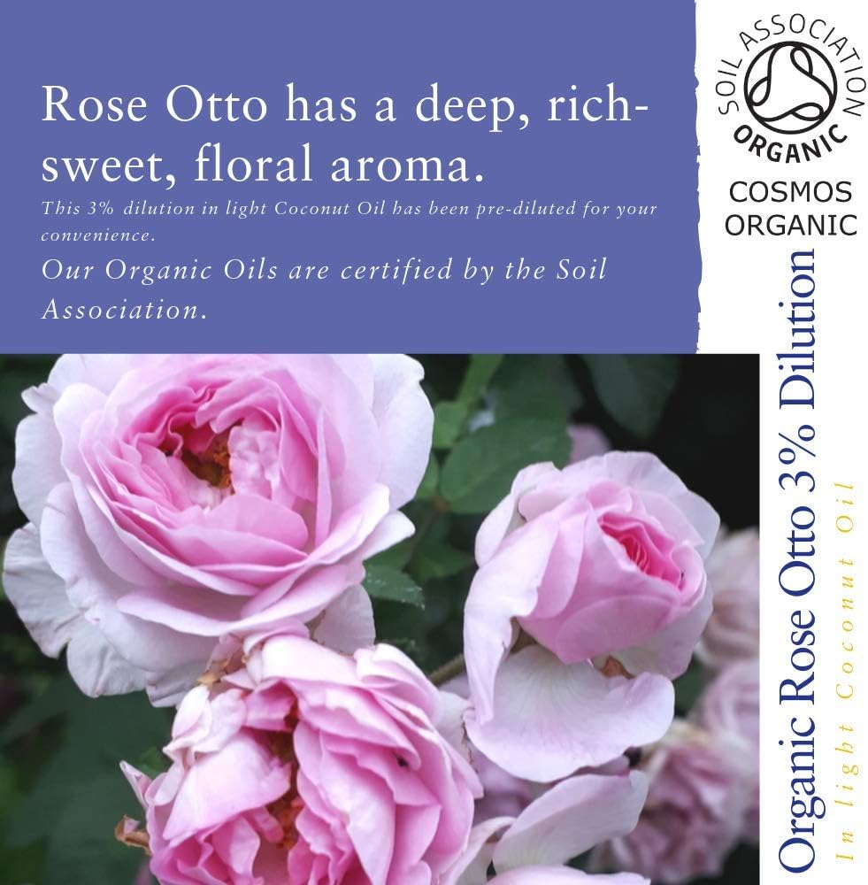 Absolute Aromas Organic Rose Otto Essential Oil 3% Dilution in Jojoba Oil (10ml), Natural, Cruelty-Free and Vegan - Image 3