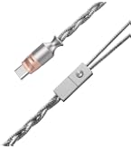 Amazon.com: DD ddHiFi M198C USB-C Interface Decoding Earphone