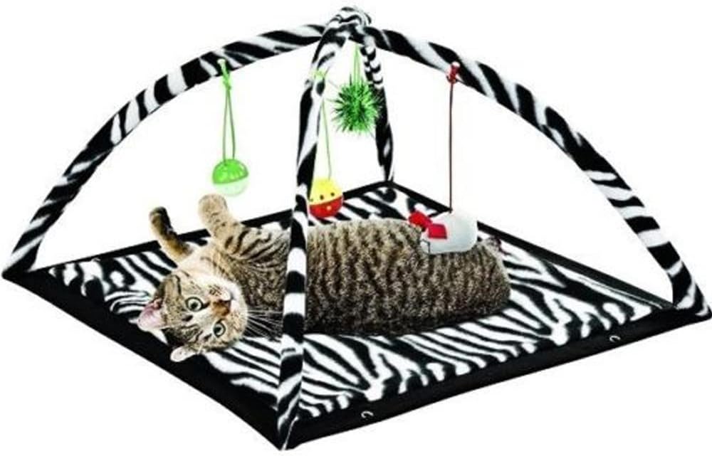 kitten play tent