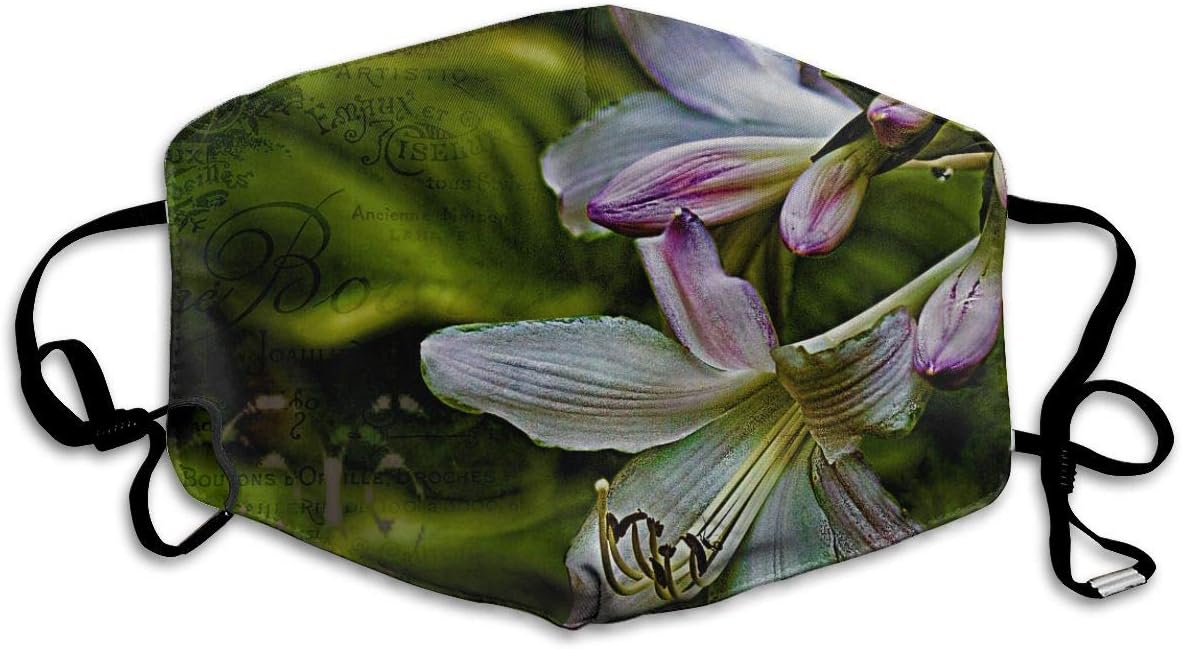 Fashion Face Cover Adjustable Elastic Band Hypoallergenic Face and Nose Cover for Pollen Smog Medical Climbing (Hosta Lilies with Texture)