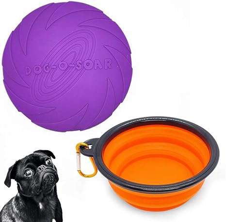 dog frisbee amazon