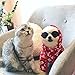 Stock Show Funny Cute Dog Cat Retro Fashion Sunglasses Mosaic Glasses Transparent Eye-wear Protection Puppy Cat Teacher Bachelor Cosplay Glasses Pet Photos Props for Small Dog, Black