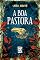 Livro A boa pastora: Coleção Carcarás
