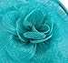 Fascigirl Sinamay Fascinator Hat Feather Party Pillbox Hat Flower Derby Hat for Women (X Green)
