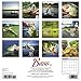 Bass 2018 Calendar