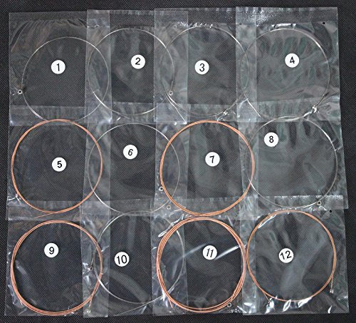 Alice A2012 Stainless Steel Coated Copper Alloy 12-Strings Acoustic Guitar Strings