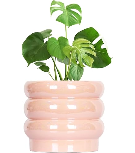 Hương popi Poppy - 131/108 - SV3: Ruler of the Black Flame - Pokemon