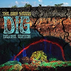 DiG