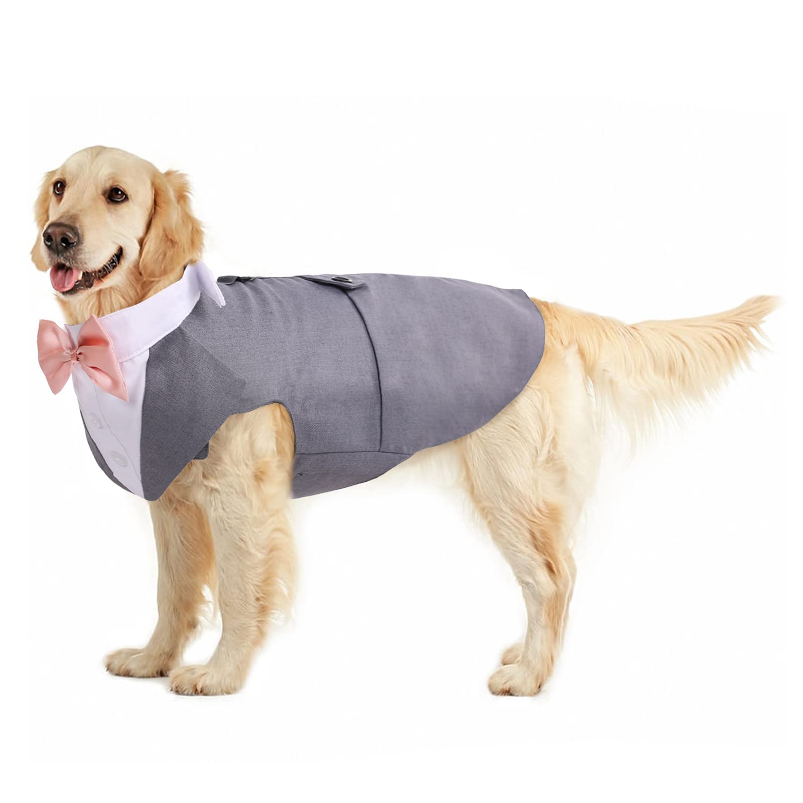 CatDog Tuxedo Wedding Outfit - Dachshund Dog Costume with Bandana Shirt & Waistcoat (Grey, XXL)