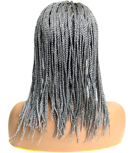 Amazon.com : Silver Grey Braided Wigs Synthetic Lace Front 