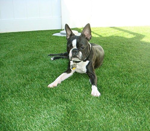 6' x 15' Premium Artificial Grass Indoor/Outdoor Synthetic Turf Rubber Backed With Drainage Holes, 4-Toned Blades