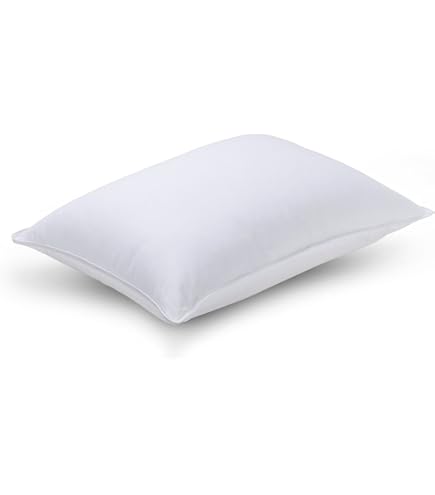 Amazon.com: Sleep Innovations Classic Memory Foam Pillow, Standard