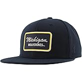Michigan Wolverines NCAA Officially Licensed Hat Flat Snapback Z11 Brick Team Color