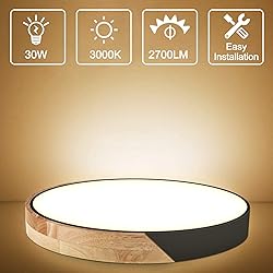 Led Ceiling Light Flush Mount: 15.8 Inch 30W