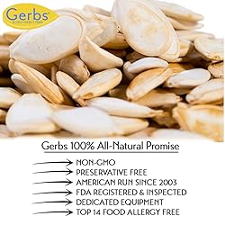 Lightly Sea Salted Pumpkin Seeds in Shell by Gerbs