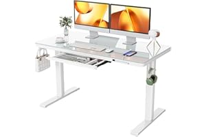 ErGear Dual Motor Electric Standing Desk with Drawers,48x24 Inch Whole-Piece Glass Desktop Quick Install,Height Adjustable Stand up Sit Stand Home Office Ergonomic Workstation with USB Charging Ports