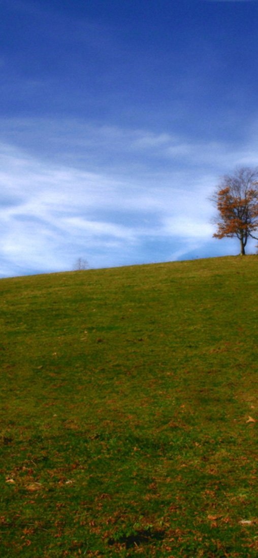 PeelitStickit, Beautiful Nature Wall Murals, ID-1437, vinyl