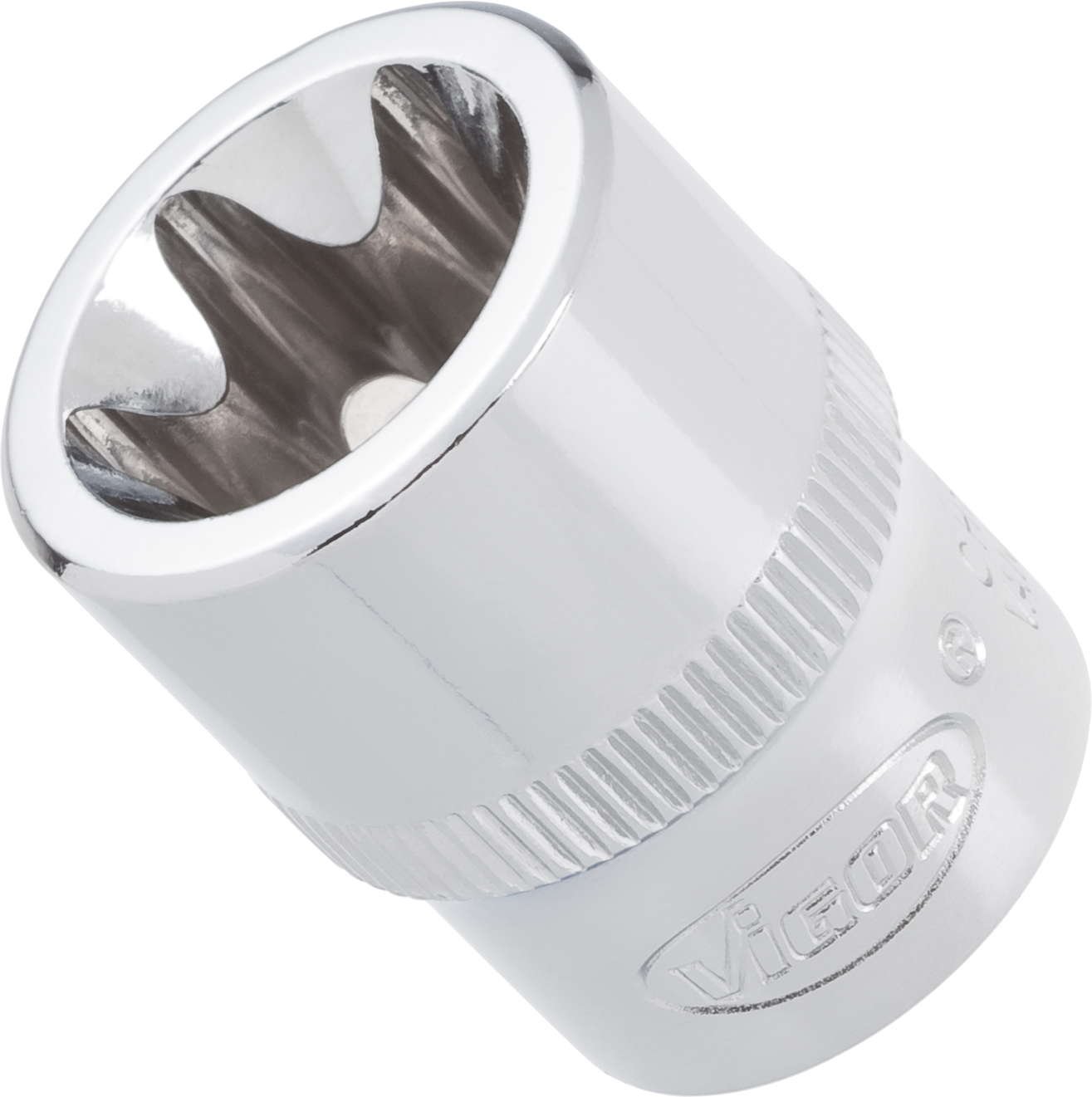 Vigor V2728 Torx Socket E8 mm, Length 28 mm, 3/8"