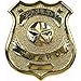 Deluxe Security Enforcement Officer Badge