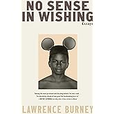 No Sense in Wishing: Essays