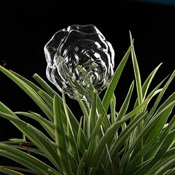 Buy Glass Plant Flowers Water Feeder Self Watering Bird Design
