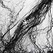 Anear Halloween Spider Webs Stretchable Cobwebs with 20 Fake Spider For Halloween Indoor & Outdoor Decorations (200 Sq') …