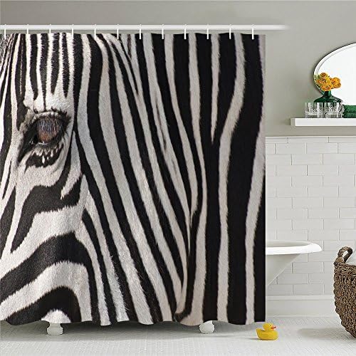 Colorful Cute Parrot Birds and Zebra Polyester Waterproof Shower Curtain-Bathroom Accessories Kids 66x72