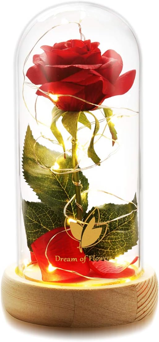 Which Is The Best Home Decor Rose