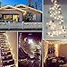 Oak Leaf 60-LED Fairy Lights,6-Pack Battery Operated String Lights,Warm White,9.8ft