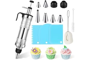 Dessert Decorating Syringe Set, Cake Decorating Gun Kit, Stainless Steel Icing Decoration Set with 6 Nozzle, 3 Scrapers, 2 Br