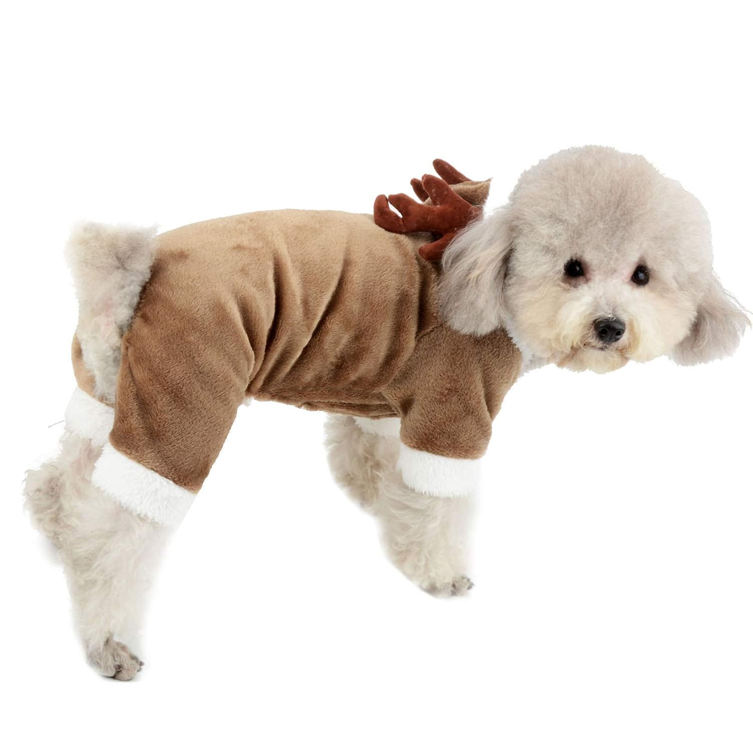 Christmas Dog Clothes for Small Dogs Santa Dog Costume Pet Coat Poodle