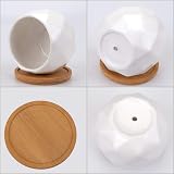 Jucoan 6 Pack Ceramic Succulent Planter Pots 10 cm White Diamond with Tray view 3