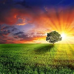 Amazon.com : Baocicco Prairie Sunset Glow Backdrop 8x8ft